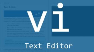 vi+: The Best Text Editing Software